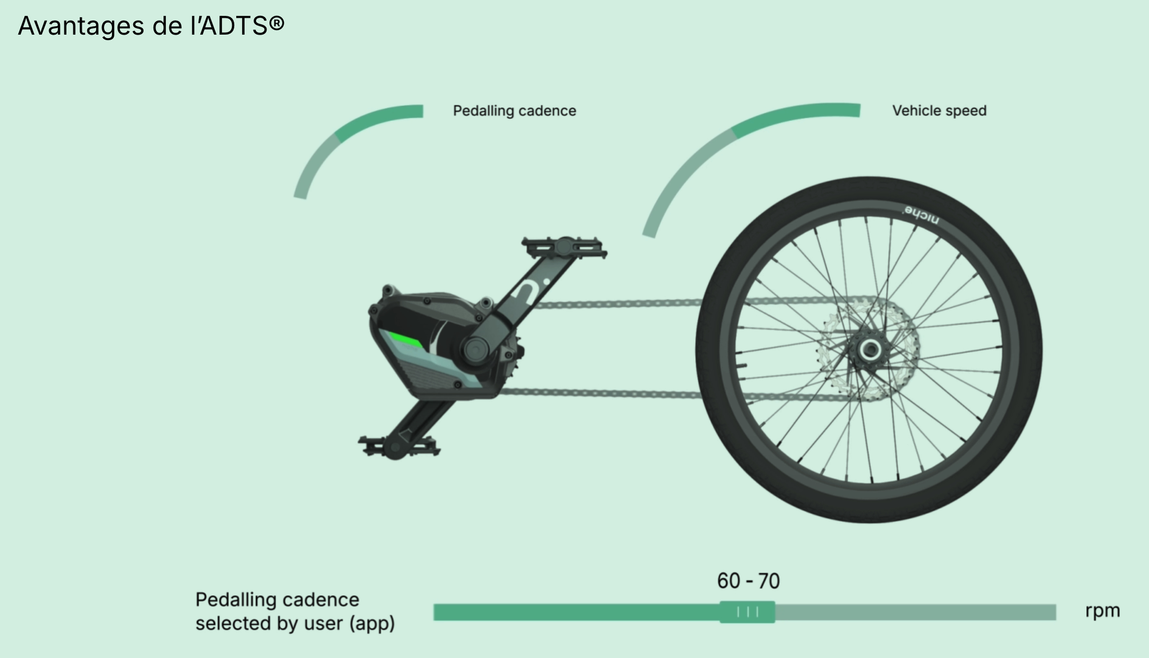 Screenshot avis moteur velo niche go