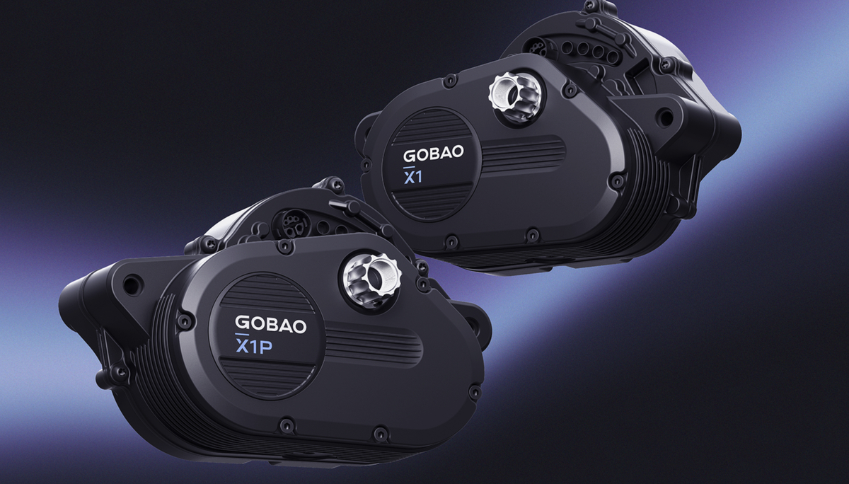 2 moteurs Gobao X1 et Gobao X1P