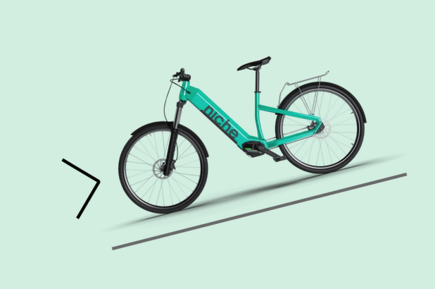 5-moteur-velo-electrique-niche-go moteur pedalier niche go